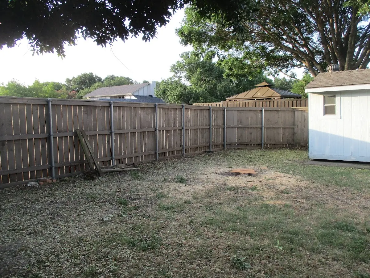 Cleared yard after professional tree removal in Vincentown